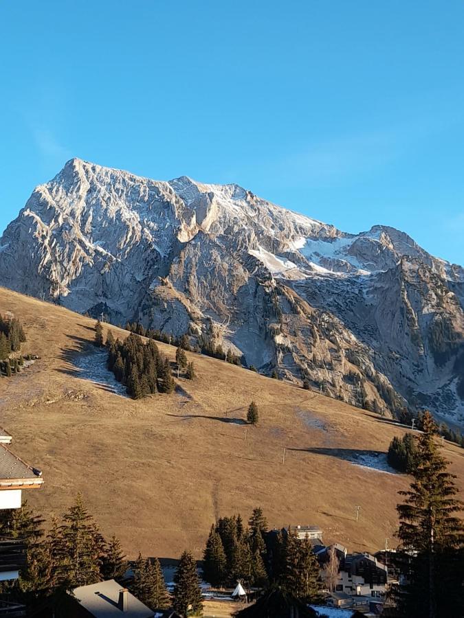 Appartement Au Coeur Des Aravis Манигод Екстериор снимка