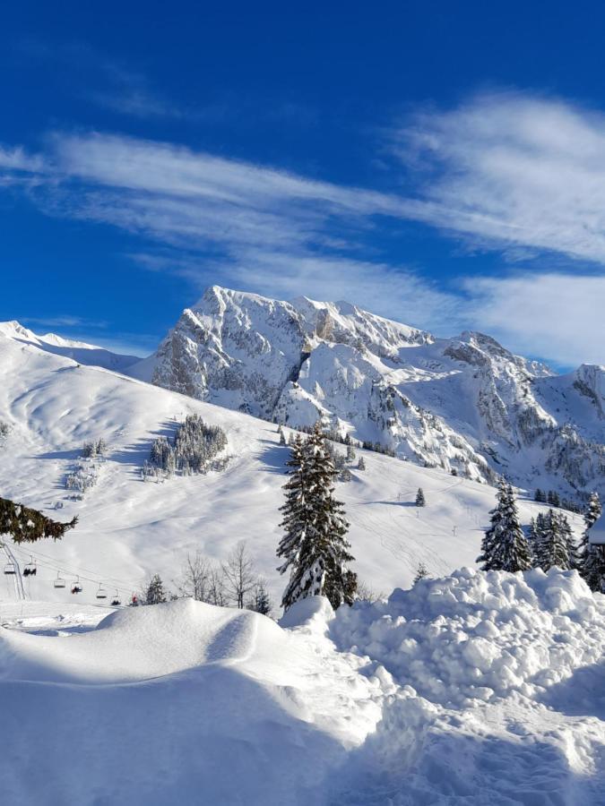Appartement Au Coeur Des Aravis Манигод Екстериор снимка